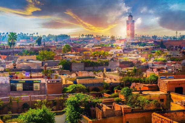 What to do in Marrakech with Kids